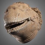 012925 STARWARS-Dewback Wall Image 003