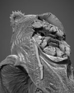 Ewoks Bust Portrait Image 004