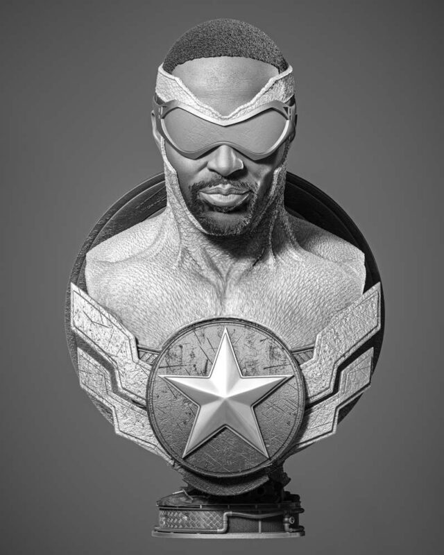 Falcon Bust Portrait Image 001