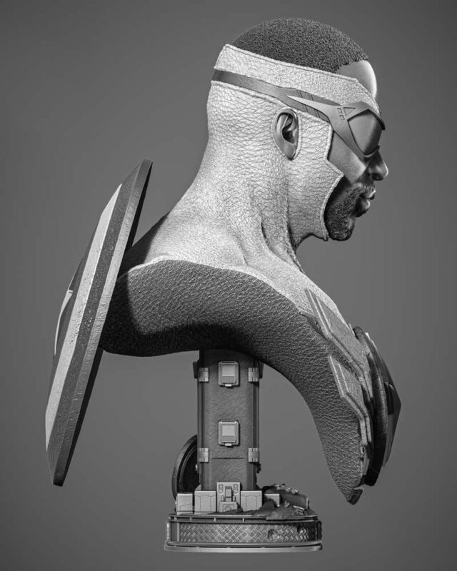 Falcon Bust Portrait Image 005