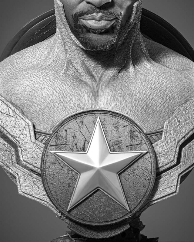 Falcon Bust Portrait Image 009