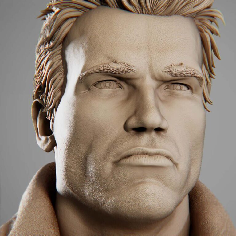 Terminator Arnold Bust Image 005