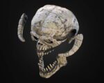 Wampa Skull – Exploded – Klaxium